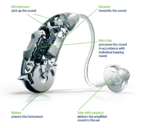 How Hearing Aids Work Hearing Loss Explained With Free Hearing Tests